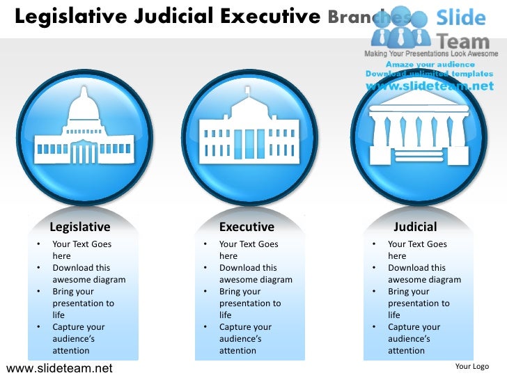 executive judicial and legislative branch venn diagram wiring